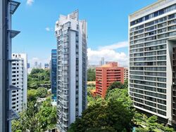The Peak @ Cairnhill I (D9), Apartment #458515701